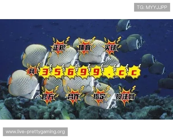 如何选择bg视讯集团的优质游戏平台，提升您的游戏体验与资金安全保障